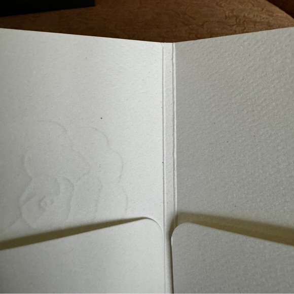 Chanel Black Camellia Gift Bag with White Ribbon and Receipt Holder - Picture 2 of 9